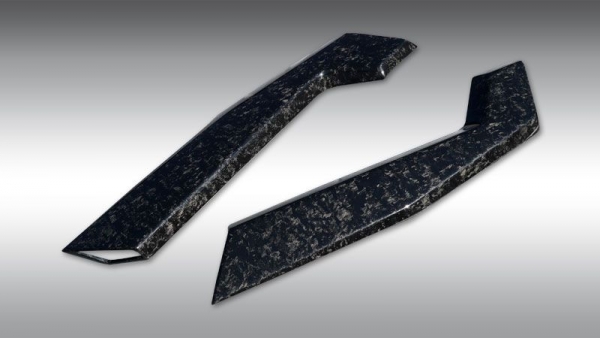 Lufteinlass Dachhutze (Satz) in Sichtcarbon FORGED Lamborghini HuracÃ¡n Performante