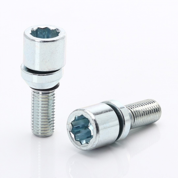 Set of 20 SILVER Changeable star bolts 12x1,25